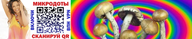 ссылка на мегу ССЫЛКА  Воронеж  Галлюциногенные грибы Psilocybe 